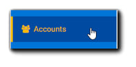 Screenshot: Accounts option on left-side Portal navigation.